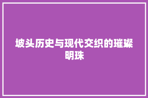 坡头历史与现代交织的璀璨明珠