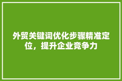 外贸关键词优化步骤精准定位，提升企业竞争力