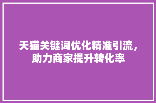 天猫关键词优化精准引流，助力商家提升转化率