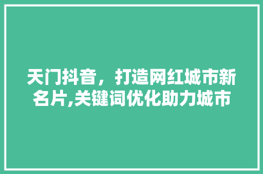 天门抖音，打造网红城市新名片,关键词优化助力城市发展