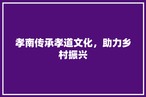 孝南传承孝道文化，助力乡村振兴