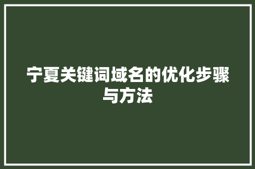 宁夏关键词域名的优化步骤与方法