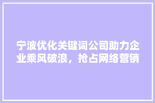 宁波优化关键词公司助力企业乘风破浪，抢占网络营销制高点