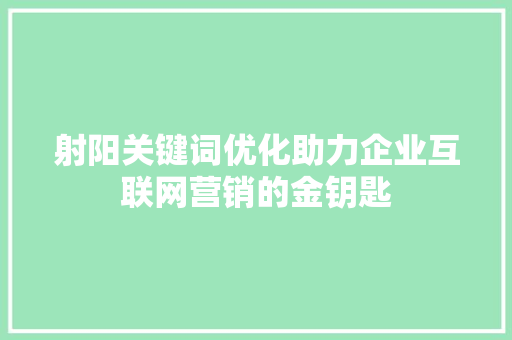 射阳关键词优化助力企业互联网营销的金钥匙