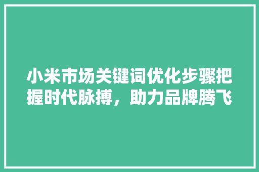 小米市场关键词优化步骤把握时代脉搏，助力品牌腾飞