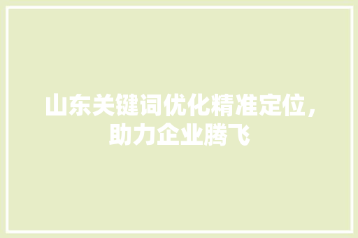 山东关键词优化精准定位，助力企业腾飞 建站教程