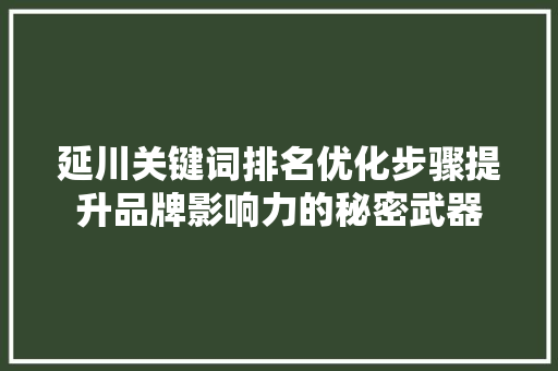 延川关键词排名优化步骤提升品牌影响力的秘密武器