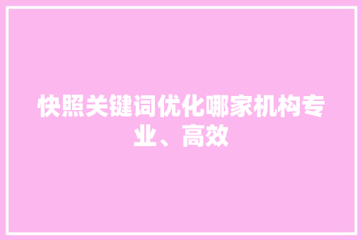 快照关键词优化哪家机构专业、高效