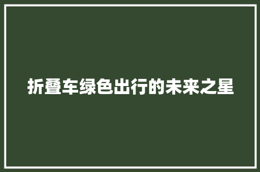 折叠车绿色出行的未来之星