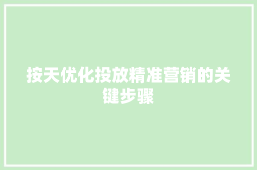 按天优化投放精准营销的关键步骤