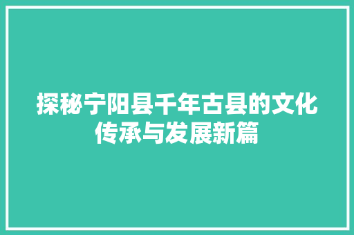 探秘宁阳县千年古县的文化传承与发展新篇