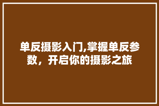 单反摄影入门,掌握单反参数，开启你的摄影之旅