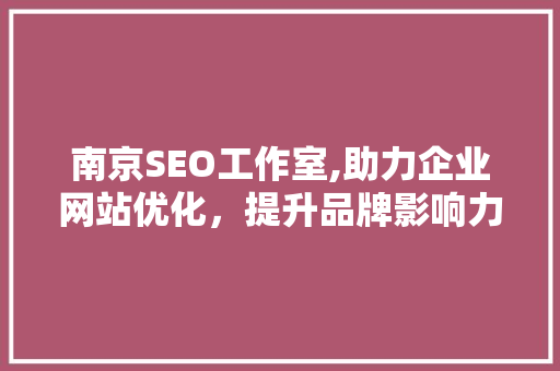 南京SEO工作室,助力企业网站优化，提升品牌影响力