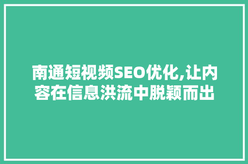 南通短视频SEO优化,让内容在信息洪流中脱颖而出