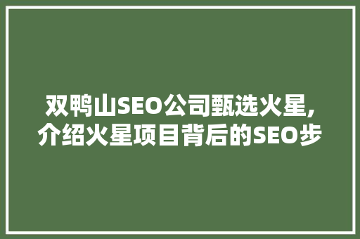 双鸭山SEO公司甄选火星,介绍火星项目背后的SEO步骤