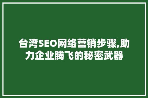 台湾SEO网络营销步骤,助力企业腾飞的秘密武器