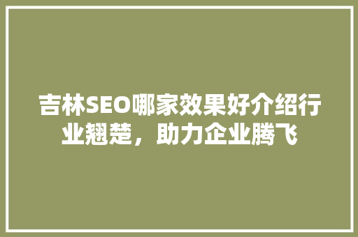 吉林SEO哪家效果好介绍行业翘楚，助力企业腾飞