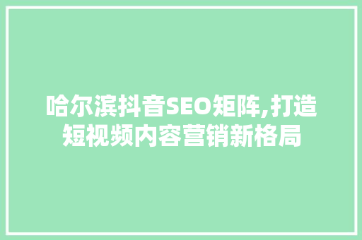 哈尔滨抖音SEO矩阵,打造短视频内容营销新格局