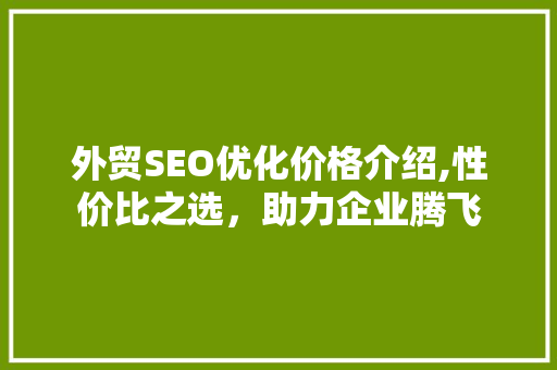 外贸SEO优化价格介绍,性价比之选，助力企业腾飞