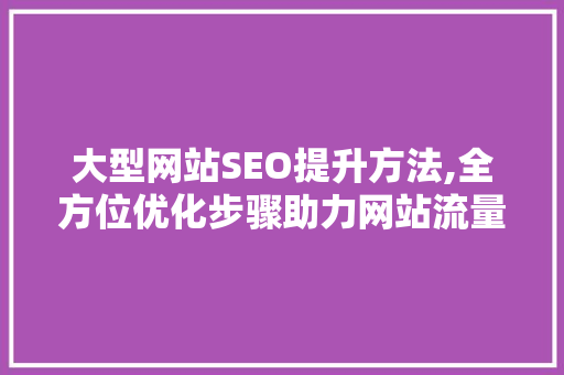大型网站SEO提升方法,全方位优化步骤助力网站流量翻倍