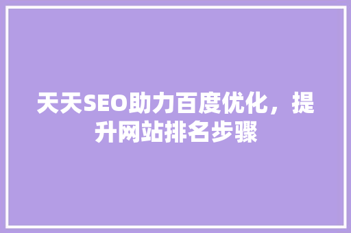 天天SEO助力百度优化，提升网站排名步骤