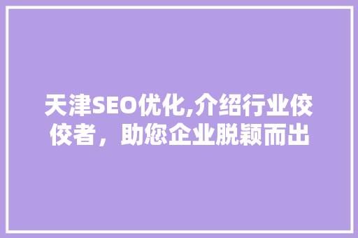天津SEO优化,介绍行业佼佼者，助您企业脱颖而出