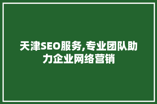 天津SEO服务,专业团队助力企业网络营销
