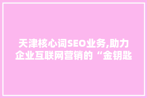 天津核心词SEO业务,助力企业互联网营销的“金钥匙”