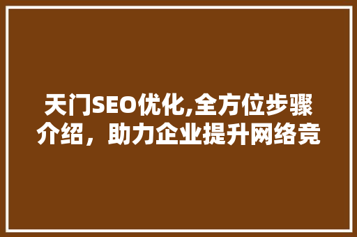 天门SEO优化,全方位步骤介绍，助力企业提升网络竞争力