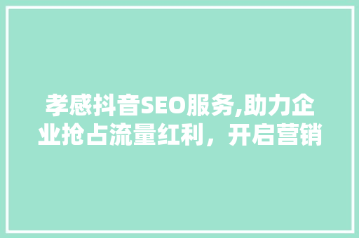 孝感抖音SEO服务,助力企业抢占流量红利，开启营销新篇章