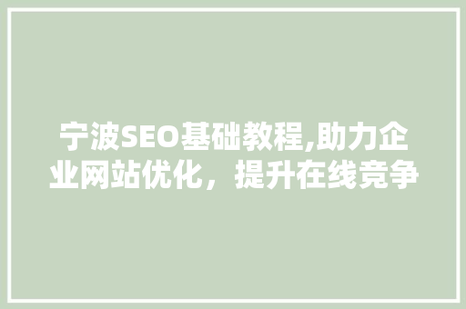 宁波SEO基础教程,助力企业网站优化，提升在线竞争力