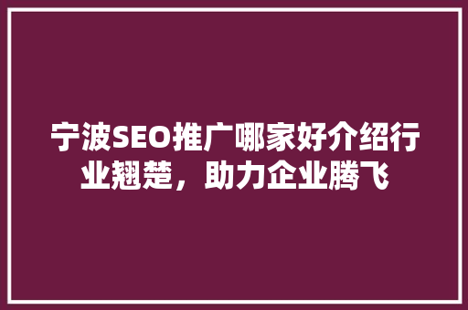 宁波SEO推广哪家好介绍行业翘楚，助力企业腾飞