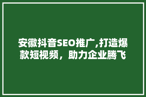 安徽抖音SEO推广,打造爆款短视频，助力企业腾飞