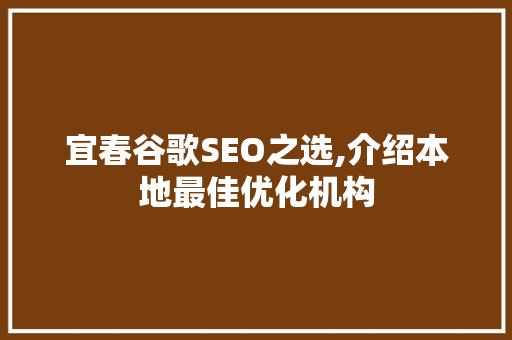 宜春谷歌SEO之选,介绍本地最佳优化机构