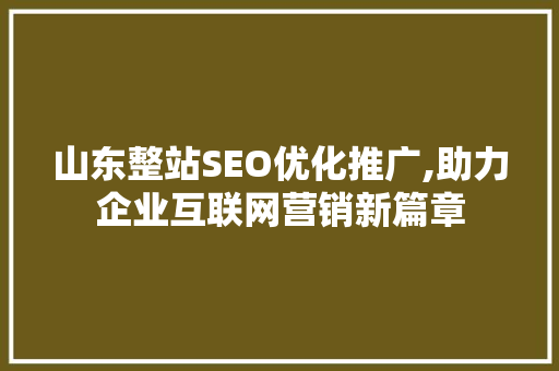 山东整站SEO优化推广,助力企业互联网营销新篇章