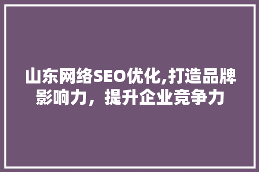 山东网络SEO优化,打造品牌影响力，提升企业竞争力