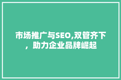 市场推广与SEO,双管齐下，助力企业品牌崛起