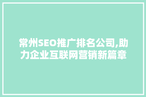 常州SEO推广排名公司,助力企业互联网营销新篇章