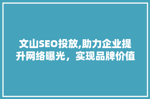 文山SEO投放,助力企业提升网络曝光，实现品牌价值最大化