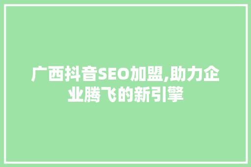 广西抖音SEO加盟,助力企业腾飞的新引擎