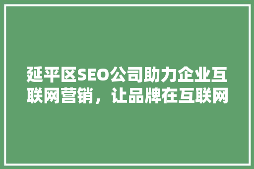 延平区SEO公司助力企业互联网营销，让品牌在互联网大潮中乘风破浪