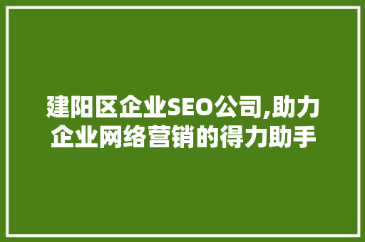 建阳区企业SEO公司,助力企业网络营销的得力助手