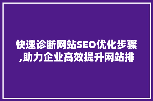 快速诊断网站SEO优化步骤,助力企业高效提升网站排名