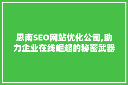思南SEO网站优化公司,助力企业在线崛起的秘密武器