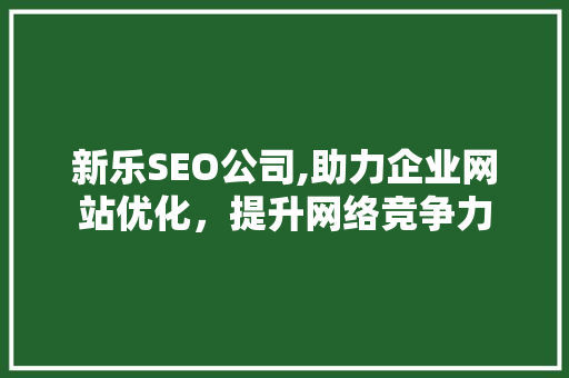 新乐SEO公司,助力企业网站优化，提升网络竞争力
