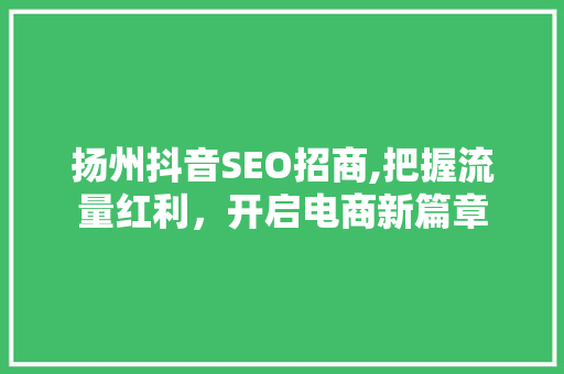 扬州抖音SEO招商,把握流量红利，开启电商新篇章