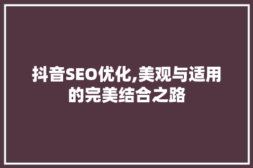 抖音SEO优化,美观与适用的完美结合之路