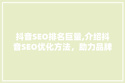 抖音SEO排名巨量,介绍抖音SEO优化方法，助力品牌腾飞