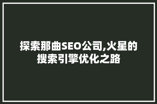 探索那曲SEO公司,火星的搜索引擎优化之路