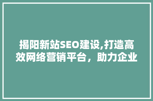 揭阳新站SEO建设,打造高效网络营销平台，助力企业腾飞